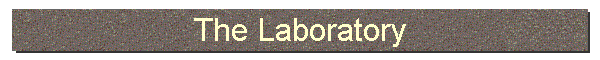 The Laboratory